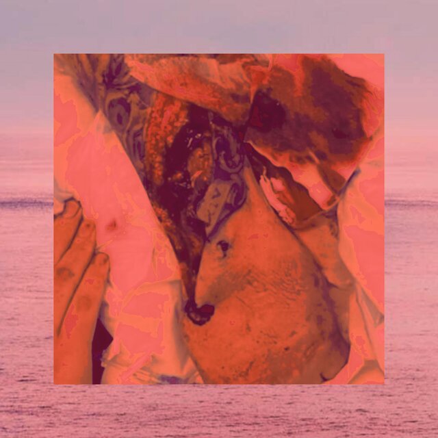 POINT ИEMO