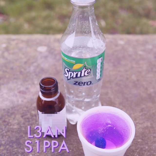 L3AN S1PPA