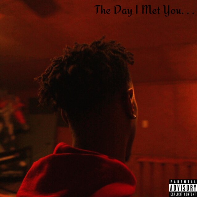 The Day I Met You