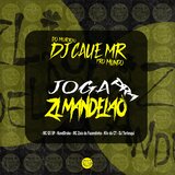 JOGA PRA ZL MANDELÃO