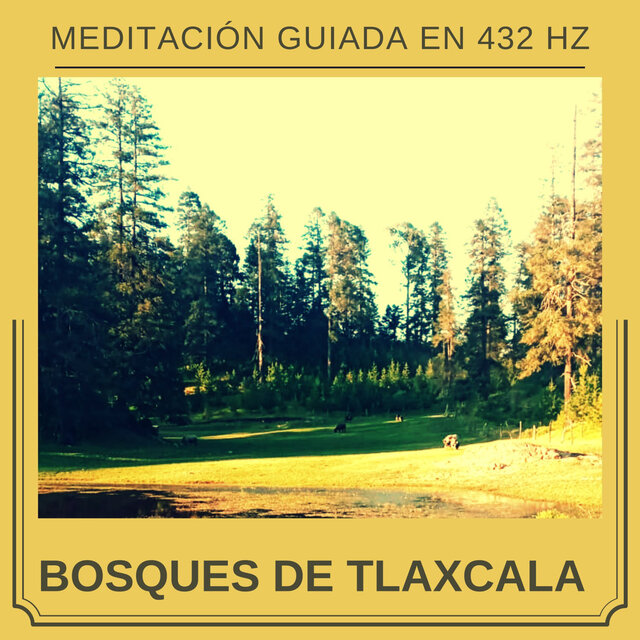 Bosques de Tlaxcala