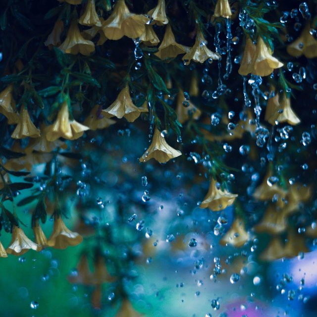 Sleepy Rainfall