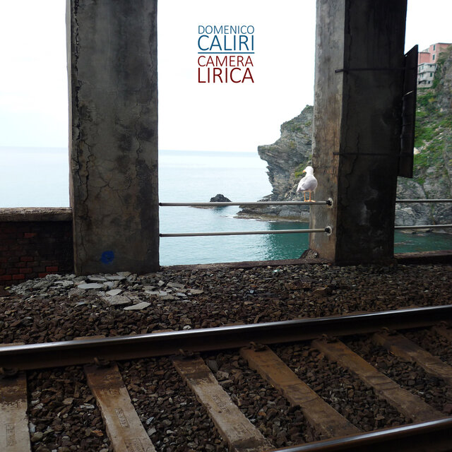 Cover art for album Camera lirica by Domenico Caliri
