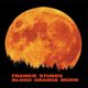 Cover art for album Blood Orange Moon by Frankie Stubbs