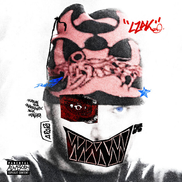 Cover art for album DUALITY by Lizdek