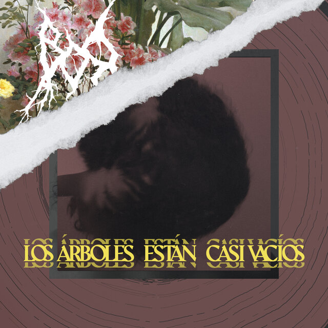 Los Árboles Están Casi Vacíos