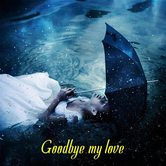 GoodBye My Love