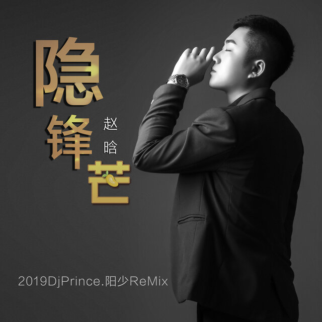 隐锋芒 (2019DJPrince阳少ReMix)