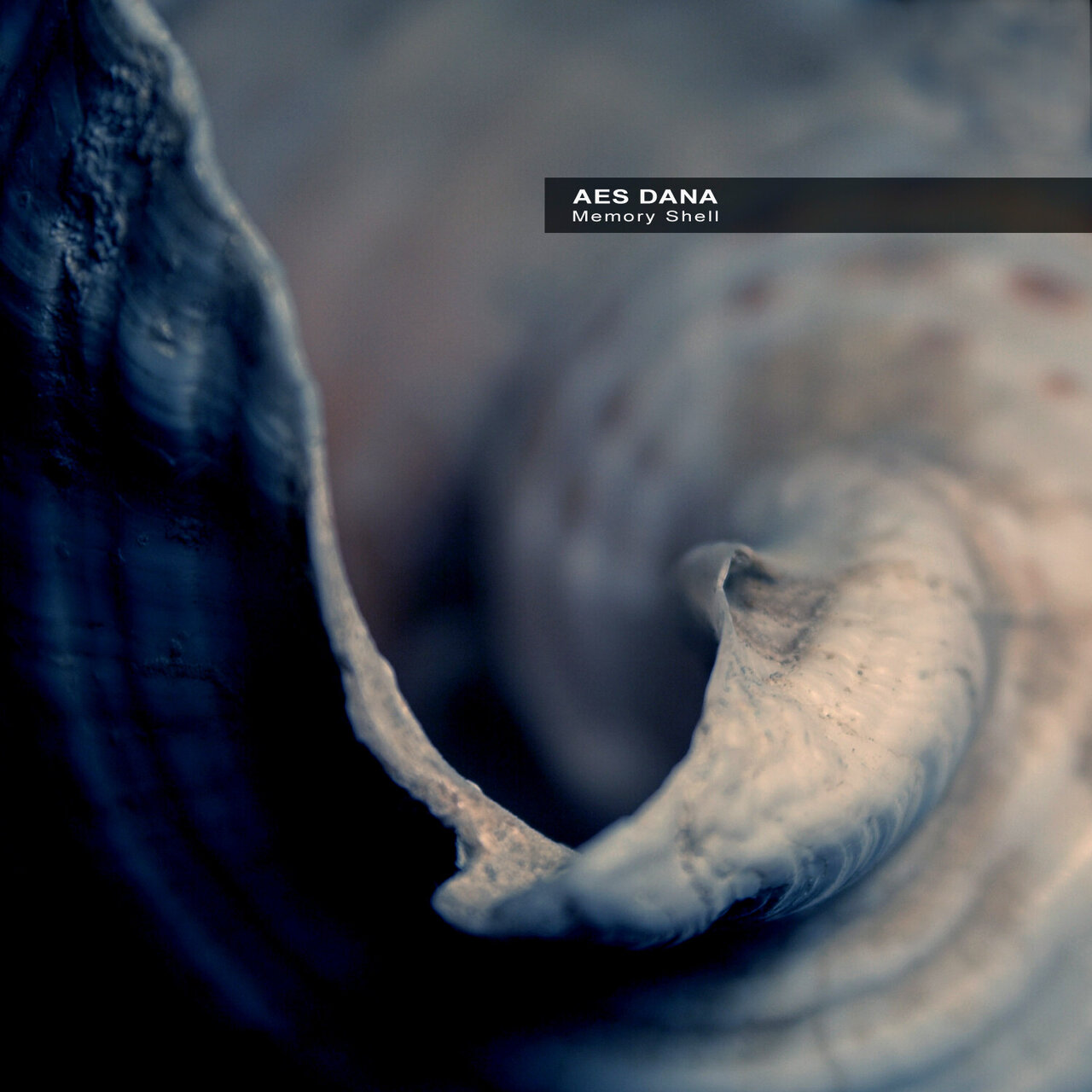 Memory Shell by Aes Dana on TIDAL