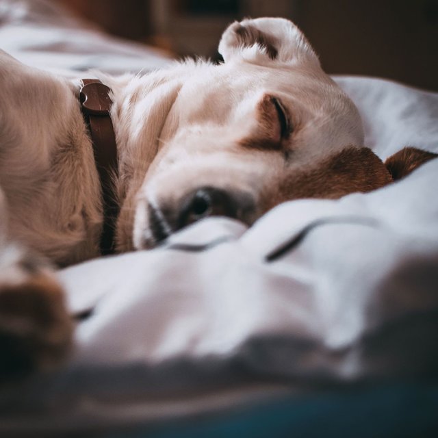 Air Conditioner Sound – Fine Working Sleep Noises Pack