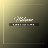 Mekosso (feat. LINCY)