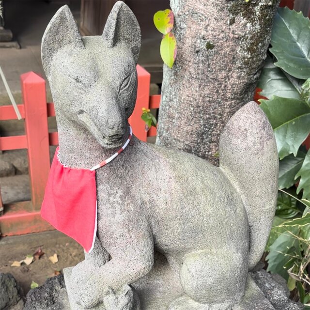 Kyoto Koto