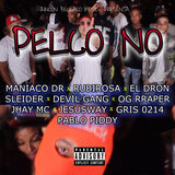 Pelco No