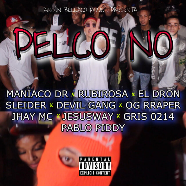 Pelco No