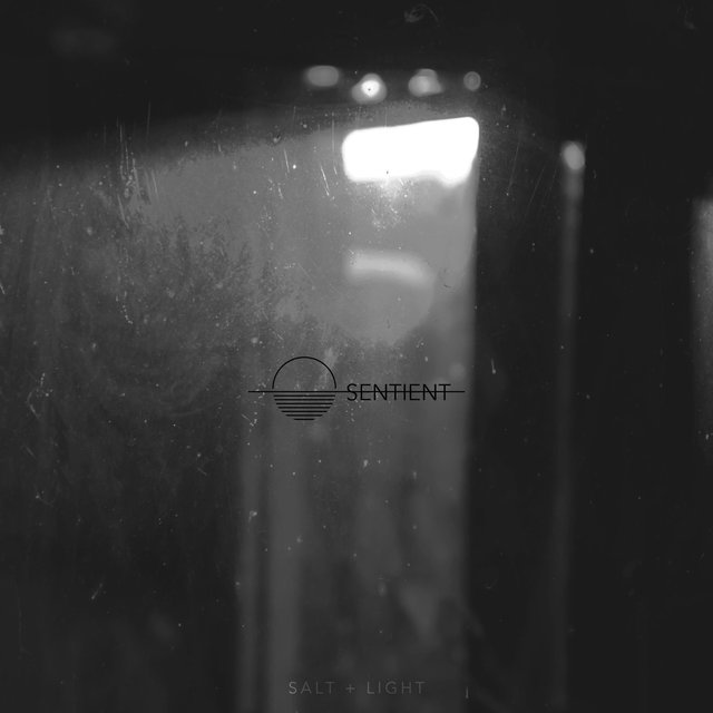 Salt + Light (Instrumental)