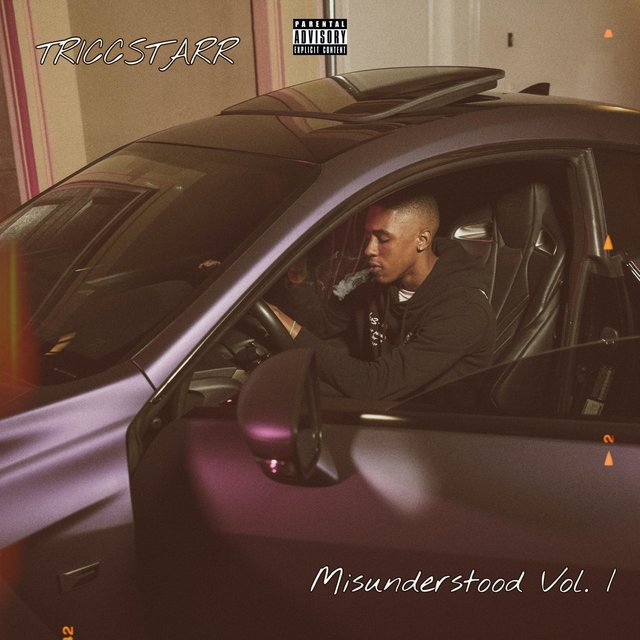 MisUnderstood, Vol. 1