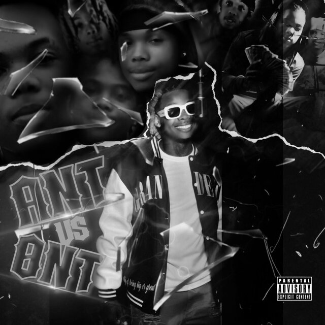 ANT VS 8NT