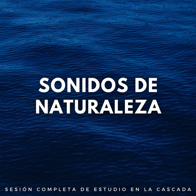 Sonidos De Naturaleza: Sesión Completa De Estudio En La Cascada