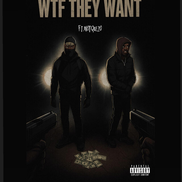 wtf they want (feat. notquezo)