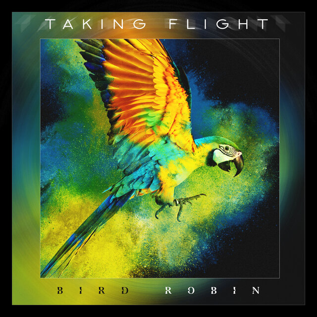 Taking Flight