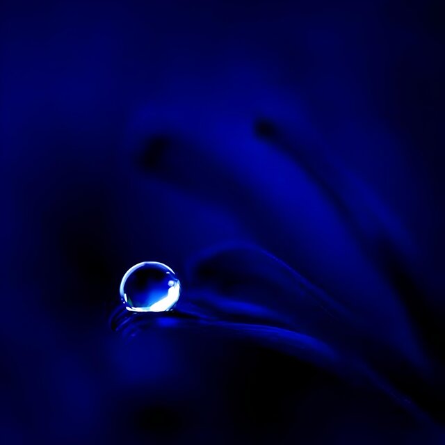 Raindrop