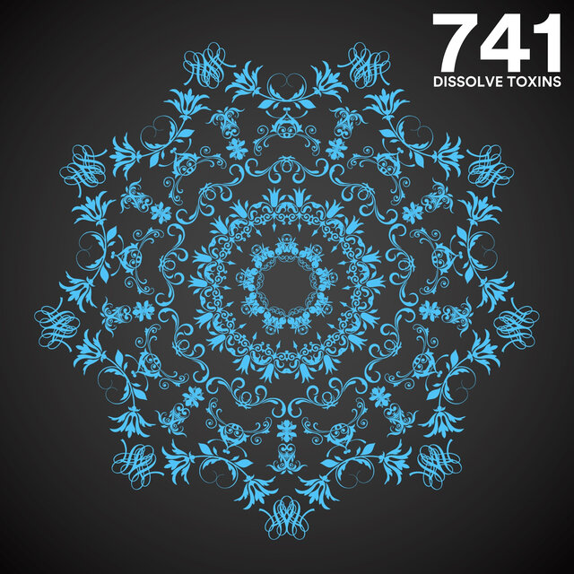 741 Hz Dissolve Toxins
