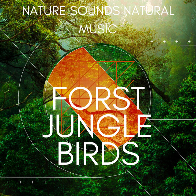 Forest Jungle Birds