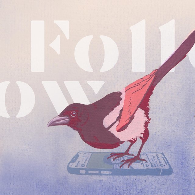 Follow