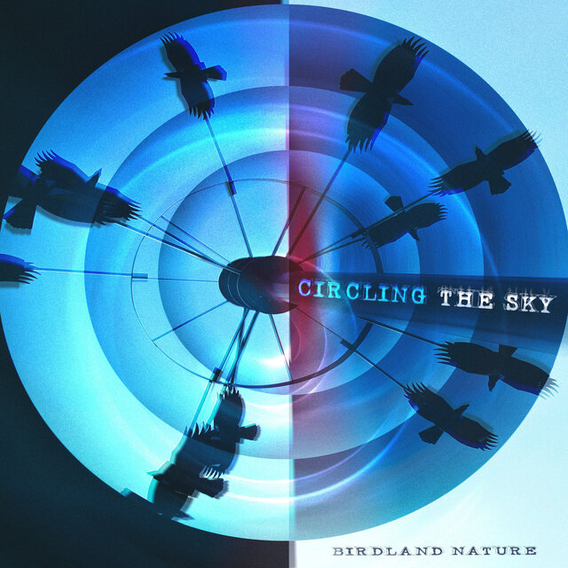 Circling the Sky