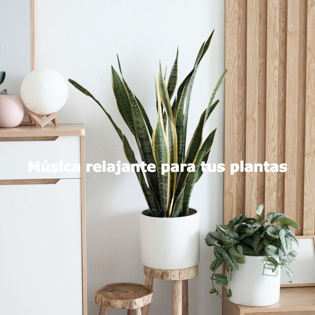 Música relajante para tus plantas