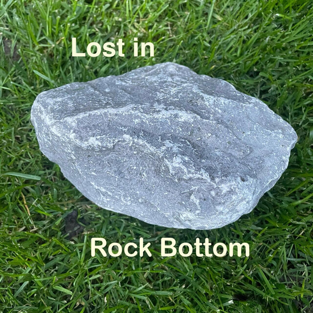 Lost In Rock Botton