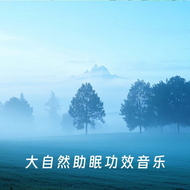 大自然助眠功效音乐
