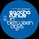 Cover art for album In Between Days by Sascha Funke