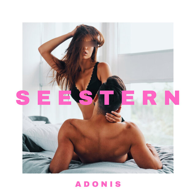 Seestern
