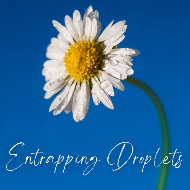 Entrapping Droplets