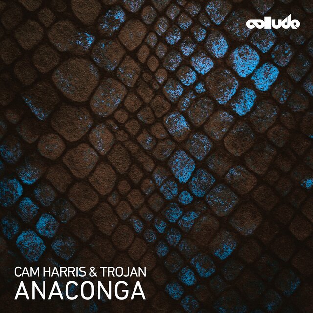 Anaconga