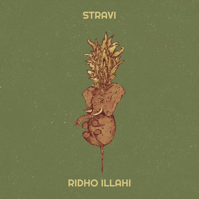 Stravi