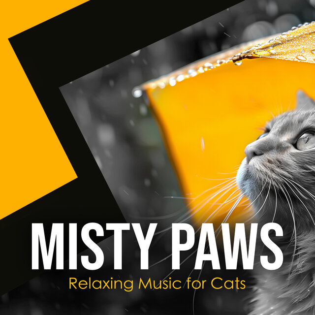 Misty Paws