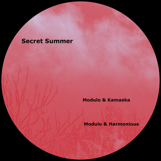 Secret Summer