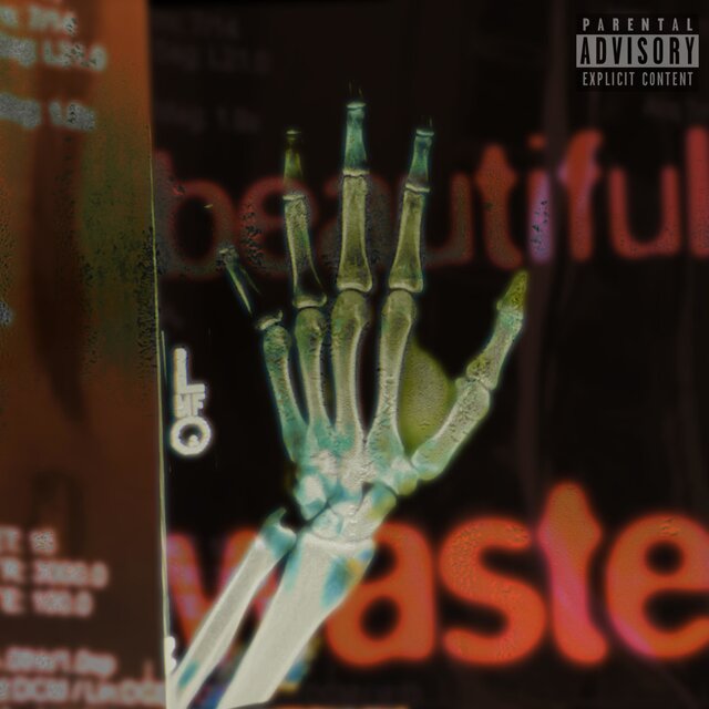 Beautiful Waste
