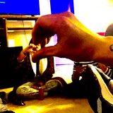 StayAlive