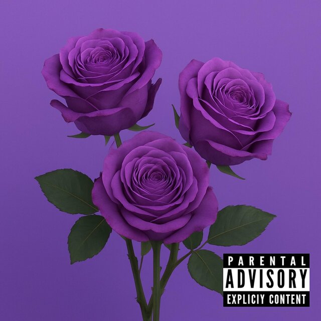 VIOLA (prod-everestdidthis)