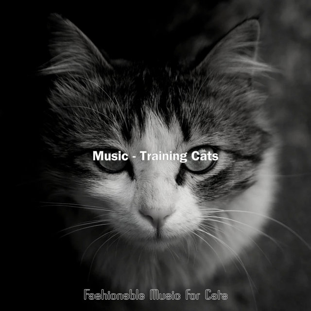 Music - Training Cats