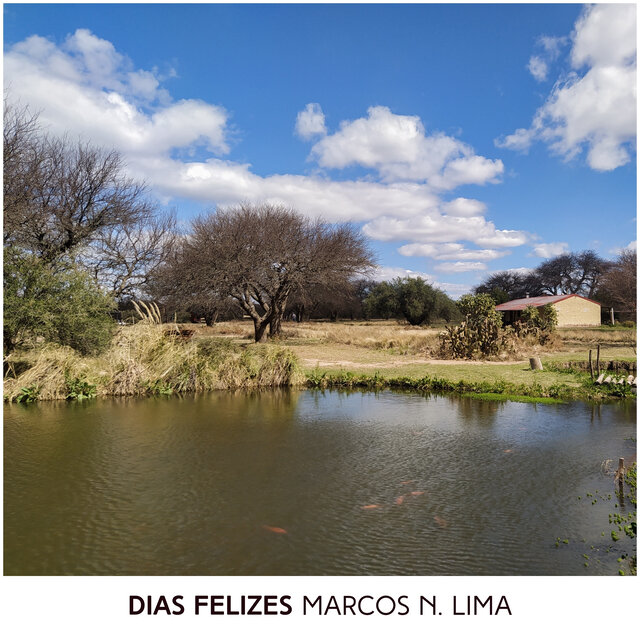 Dias Felizes