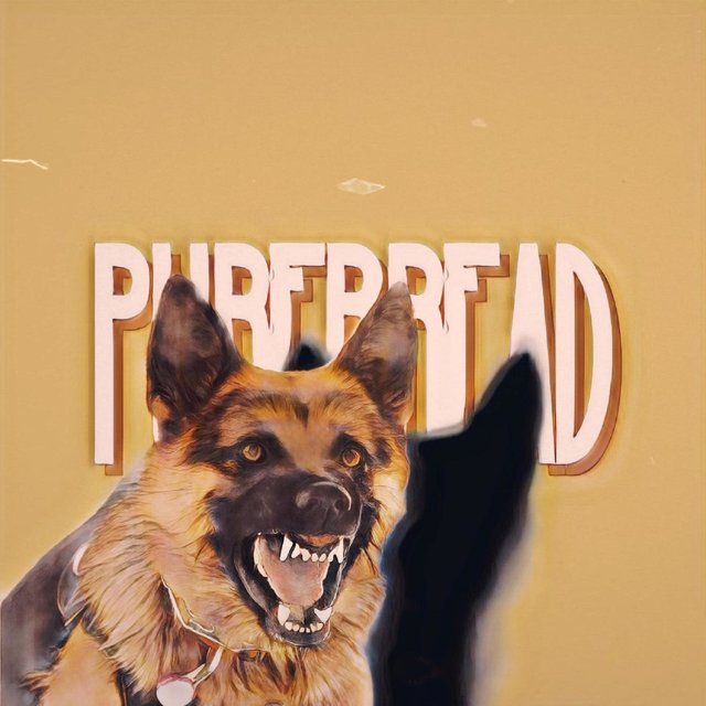 PureBred