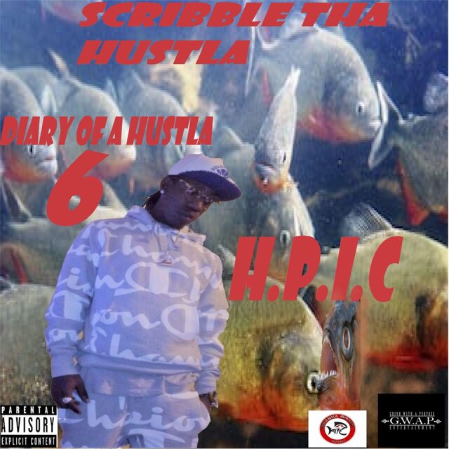 Diary of a Hustla 6 H.P.I.C
