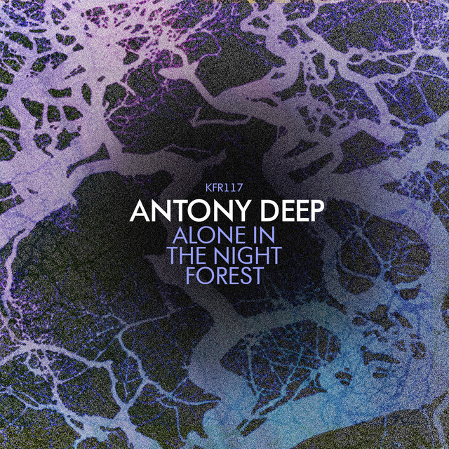 Alone in the Night Forest