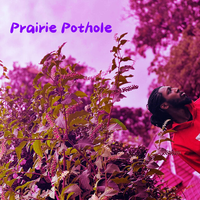 Prairie Pothole