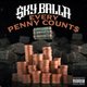 Cover art for album Every Penny Count$ by Sky Balla