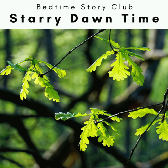 4 Rel: Starry Dawn Time